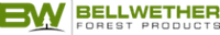 Bellwether Company logo